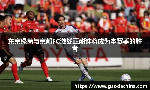 东京绿茵与京都FC激战正酣谁将成为本赛季的胜者